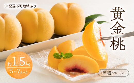 桃 2026年 先行予約 黄金桃 等級 エース 約1.5kg 5～7玉入り もも モモ 岡山 国産 フルーツ 果物 桃茂実苑