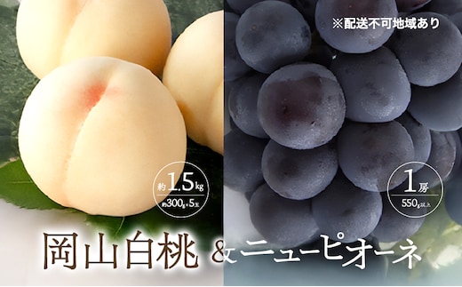 桃 ぶどう 2026年 先行予約 清水 白桃 5玉 約1.5kg 1玉約300g ニュー ピオーネ 1房 550g以上もも 葡萄 詰合せ 岡山 国産 フルーツ 果物 ギフト 桃茂実苑