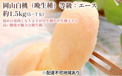 固めの 桃 2026年 先行予約 白桃 晩生種 等級 エース 約1.5kg 5～7玉 もも モモ 岡山 国産 フルーツ 果物 ギフト 桃茂実苑