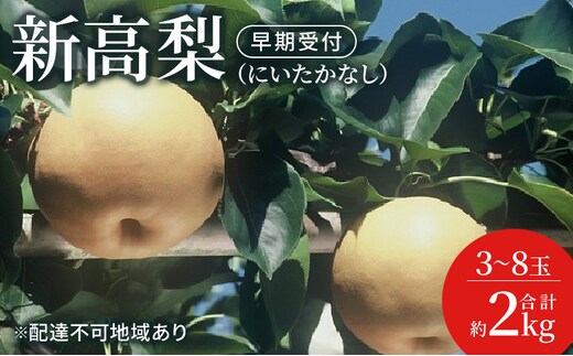 梨 早期受付 新高 梨 （にいたかなし）3～8玉 合計約2kgなし ナシ 岡山県産 国産 フルーツ 果物 ギフト桃茂実苑 果物類 先行予約