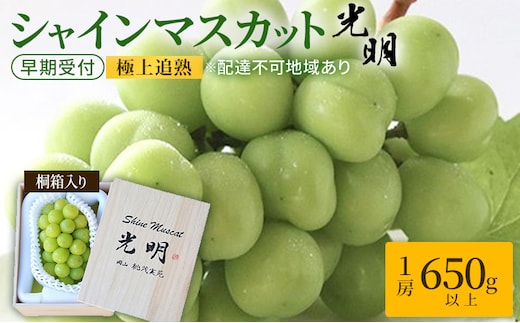 ぶどう 早期受付 極上追熟 シャイン マスカット 1房 650g以上 「光明」桐箱入り ブドウ 葡萄 岡山県産 国産 フルーツ 果物 ギフト 桃茂実苑