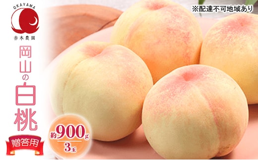 桃 2026年 先行予約 贈答用 岡山の白桃 約900g 3玉 白桃 もも モモ フルーツ 果物 国産 赤木農園