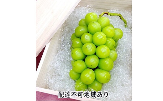 ぶどう 2026年 先行予約 シャイン マスカット 桐箱 1房入り 800g以上 ブドウ 葡萄 岡山県産 国産 フルーツ 果物 ギフト 内藤ぶどう園 果物類 シャインマスカット