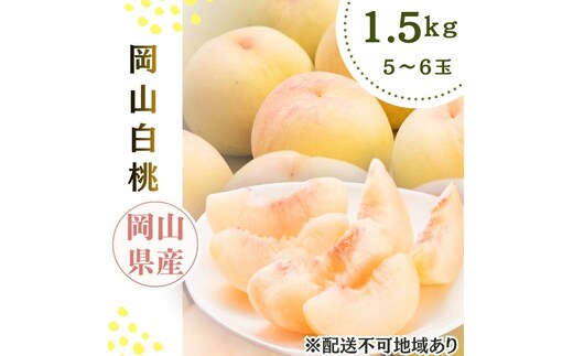 2026年先行予約 岡山県産 白桃 岡山白桃1.5kg箱 5～6玉 桃 果物 もも フレッシュ ハレノフルーツ 