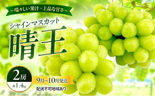 ぶどう 2026年 先行予約 シャインマスカット 晴王 2房 約1.4kg 9月～10月発送 岡山県産 種無し 皮ごと食べる みずみずしい 甘い 瀬戸内 晴れの国 おかやま 果物大国 満天フルーツ