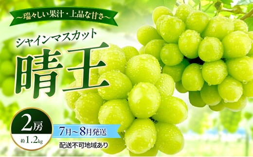 ぶどう 2026年 先行予約 シャインマスカット 晴王 2房 約1.2kg 7月～8月発送 岡山県産 種無し 皮ごと食べる みずみずしい 甘い 温室栽培 晴れの国 おかやま 果物大国 満天フルーツ