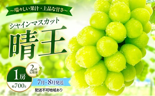 ぶどう 2026年 先行予約 定期便 シャインマスカット 晴王 1房 約700g 7月・８月 2回発送 岡山県産 種無し 皮ごと食べる みずみずしい 甘い 温室栽培 瀬戸内 晴れの国 おかやま 果物大国 満天フルーツ
