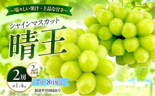 ぶどう 2026年 先行予約 定期便 シャインマスカット 晴王 2房 約1.4kg 7月・８月 2回発送 岡山県産 種無し 皮ごと食べる みずみずしい 甘い 温室栽培 瀬戸内 晴れの国 おかやま 果物大国 満天フルーツ