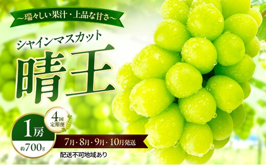 ぶどう 2026年 先行予約 定期便 シャインマスカット 晴王 1房 約700g 7月・8月・9月・10月 4回発送 岡山県産 種無し 皮ごと食べる みずみずしい 甘い 瀬戸内 晴れの国 おかやま 果物大国 満天フルーツ