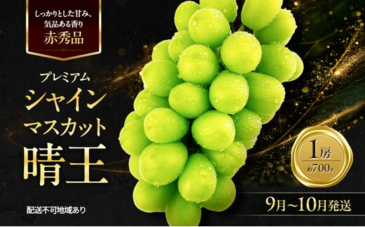 ぶどう 2026年 先行予約 赤秀ぶどう プレミアム シャインマスカット 晴王 1房 700g 9月～10月発送 船穂産 赤秀品 皮ごと食べる みずみずしい 糖度保証 岡山県産 満天フルーツ