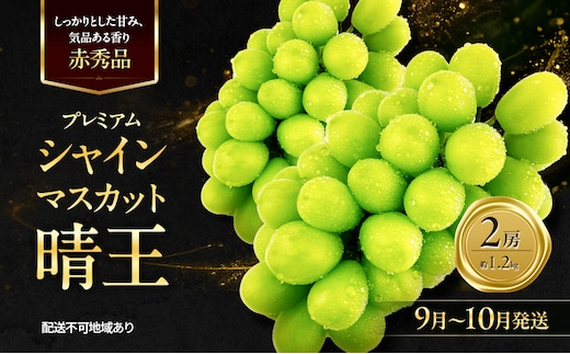 ぶどう 2026年 先行予約 赤秀ぶどう プレミアム シャインマスカット 晴王 2房 1.2kg 9月～10月発送 船穂産 赤秀品 皮ごと食べる みずみずしい 糖度保証 岡山県産 満天フルーツ
