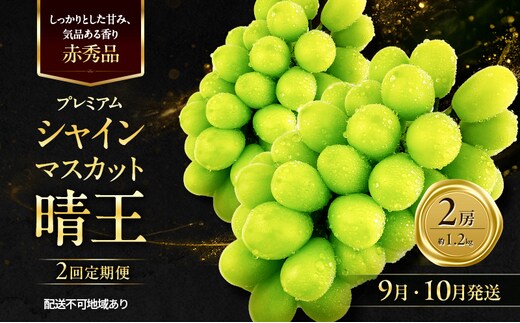 ぶどう 2026年 先行予約 定期便 赤秀ぶどう プレミアム シャインマスカット 晴王 2房 1.2kg 9月・10月 2回発送 船穂産 赤秀品 皮ごと食べる みずみずしい 岡山県産 満天フルーツ