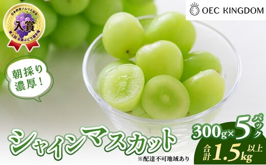 ぶどう 2026年 先行予約 シャインマスカット 300g×5パック(1.5kg以上) ブドウ 葡萄 岡山県産 国産 フルーツ 果物 ギフト OEC KINGDOM ぶどう家 果物類