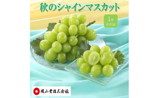ぶどう 2027年 先行予約 秋のシャインマスカット 1房 600g ブドウ 葡萄 岡山県産 国産 フルーツ 果物 ギフト 環山堂