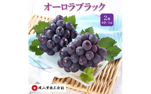 ぶどう 2027年 先行予約 オーロラブラック 2房 合計1.0kg ブドウ 葡萄 岡山県産 国産 フルーツ 果物 ギフト 環山堂