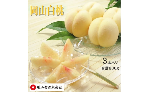 桃 2027年 先行予約 岡山白桃 3玉 合計800g もも モモ 岡山県産 国産 フルーツ 果物 ギフト 環山堂