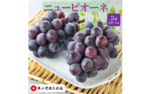 ぶどう 2027年 先行予約 秋のニューピオーネ 2房 合計1.0kg ブドウ 葡萄 岡山県産 国産 フルーツ 果物 ギフト 環山堂