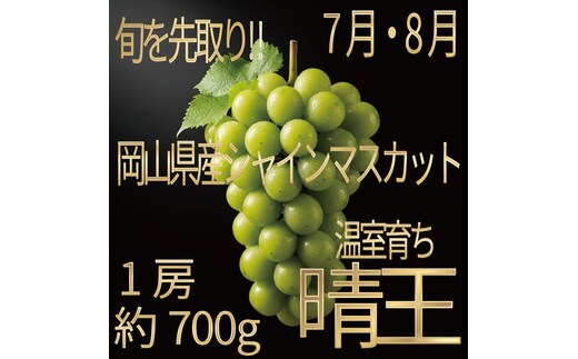 [HS]ぶどう先行予約7月・8月発送温室シャインマスカット晴王1房約700g ブドウ 葡萄 岡山県産 国産 フルーツ 果物 ギフト デザート 食後 酸味が少ない 産地直送