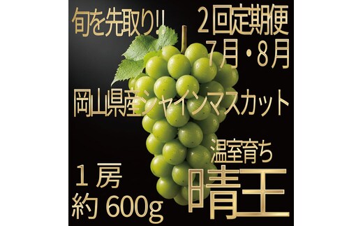 [HS]【定期便全2回】ぶどう先行予約7月・8月発送温室シャインマスカット晴王1房約600g ブドウ 葡萄 岡山県産 国産 フルーツ 果物 ギフト デザート 食後 酸味が少ない 産地直送
