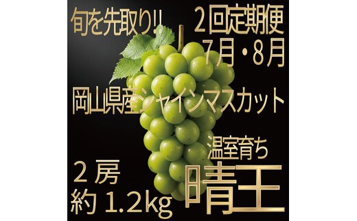 [HS]【定期便全2回】ぶどう先行予約7月・8月発送温室シャインマスカット晴王2房（合計約1.2kg）ブドウ 葡萄 岡山県産 国産 フルーツ 果物 ギフト デザート 食後 酸味が少ない 産地直送