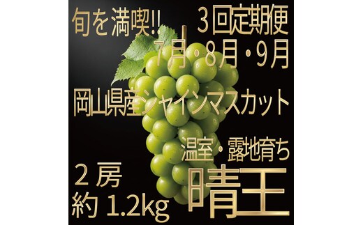 [HS]【定期便全3回】ぶどう先行予約7月・8月・9月発送温室シャインマスカット晴王2房（合計約1.2kg）ブドウ 葡萄 岡山県産 国産 フルーツ 果物 ギフト デザート 食後 酸味が少ない 産地直送