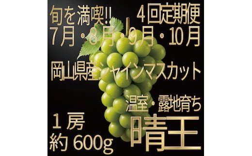 [HS]【定期便全4回】ぶどう先行予約7月・8月・9月・10月発送温室シャインマスカット晴王1房約600g ブドウ 葡萄 岡山県産 国産 フルーツ 果物 ギフト デザート 食後 酸味が少ない 産地直送