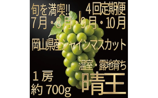 [HS]【定期便全4回】ぶどう先行予約7月・8月・9月・10月発送温室シャインマスカット晴王1房約700g ブドウ 葡萄 岡山県産 国産 フルーツ 果物 ギフト デザート 食後 酸味が少ない 産地直送