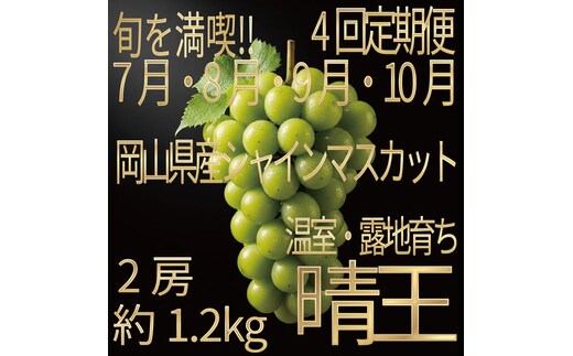 [HS]【定期便全4回】ぶどう先行予約7月・8月・9月・10月発送温室シャインマスカット晴王2房（合計約1.2kg）ブドウ 葡萄 岡山県産 国産 フルーツ 果物 ギフト デザート 食後 酸味が少ない 産地直送