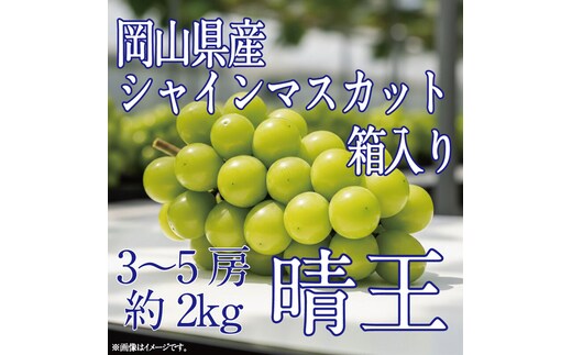[HS]ぶどう先行予約9月・10月発送シャインマスカット晴王2kg箱（3～5房）ブドウ 葡萄 岡山県産 国産 フルーツ 果物 ギフト デザート 食後 酸味が少ない 産地直送