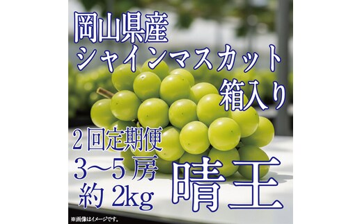 [HS]【定期便全2回】ぶどう先行予約9月・10月発送シャインマスカット晴王2kg箱（3～5房）ブドウ 葡萄 岡山県産 国産 フルーツ 果物 ギフト デザート 食後 酸味が少ない 産地直送