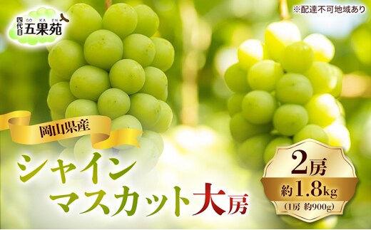 ぶどう 2026年 先行予約 シャイン マスカット 2房 合計1.8kg（1房 約900g）大房 岡山県産 四代目 五果苑 果物類 フルーツ 糖度20度 甘い 種なし 皮ごと 詰め合わせ