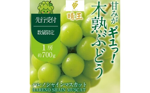 先行予約 晴王 木熟ぶどう ハレノシャイン シャインマスカット晴王 1房 約700g 9月～11月発送 種無し 皮ごと食べる みずみずしい 甘い フレッシュ 糖度保証 厳選品質 冷蔵 瀬戸内 果物大国 ハレノフルーツ