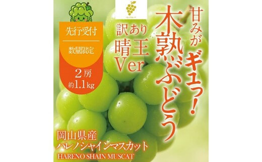 先行予約 訳あり 木熟ぶどう ハレノシャイン シャインマスカット晴王 2房 約1.1kg 9月～10月発送 皮ごと食べる みずみずしい 甘い フレッシュ 晴王 冷蔵 晴れの国 おかやま 果物大国 家庭用 ハレノフルーツ