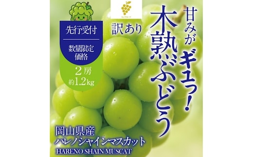 先行予約 訳あり 木熟ぶどう ハレノシャイン シャインマスカット 2房 約1.2kg 10月～11月発送 皮ごと食べる みずみずしい 甘い フレッシュ 冷蔵 晴れの国 おかやま 果物大国 ご家庭用 ハレノフルーツ