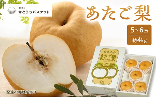梨 2027年 先行予約 あたご梨 5～6玉 約4kg ナシ なし 岡山県産 国産 フルーツ 果物 直送！せとうちバスケット
