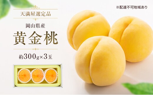 【天満屋選定品】岡山県産 黄金桃（約300g×3玉）2026年発送