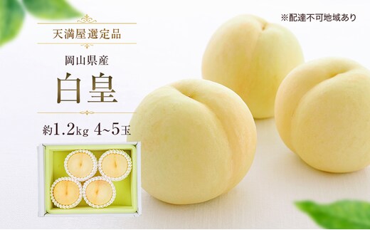【天満屋選定品】岡山県産 白皇 約1.2kg 4～5玉（2026年発送）