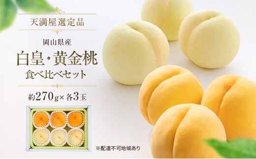 【天満屋選定品】岡山県産白皇・黄金桃食べ比べセット（約270g×各3玉）2026年発送