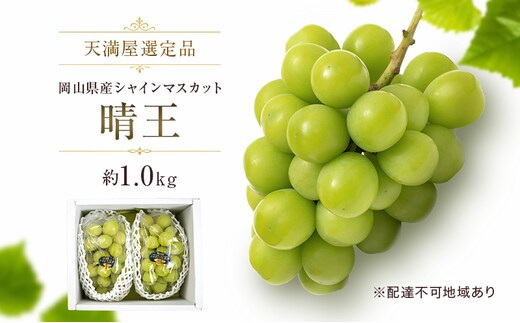 【天満屋選定品】岡山県産 シャインマスカット 晴王 約1.0kg（2026年発送）