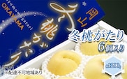 桃 2024年 先行予約  岡山県産 白桃 冬桃がたり 6個入り 約1200g もも モモ 岡山県産 国産 フルーツ 果物 ギフト