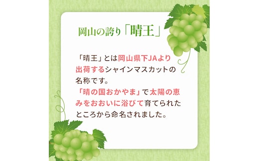 ご家庭用 シャインマスカット 晴王 3～6房 約2kg 葡萄 ぶどう 果物