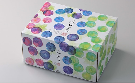 ぶどう 2026年 先行予約 【平均糖度20度】ご家庭用 農家こだわりの