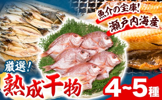 干物 ひもの 海鮮 熟成干物セット 4 ~ 5 種 セット 笠岡魚市場《45日以内に出荷予定(土日祝除く)》 岡山県 笠岡市 旬 魚 お魚---A-04---