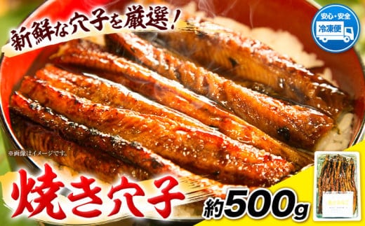 焼き穴子 約500g 笠岡魚市場《45日以内に出荷予定(土日祝除く)》岡山県 笠岡市 穴子 海鮮 魚 お魚---A-06---