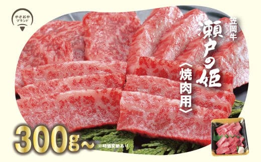 牛肉 A-09 瀬戸の姫（焼肉用）《45日以内に出荷予定(土日祝除く)》---A-09---