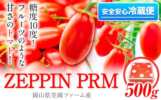 高糖度トマト ZEPPIN PRM(プレミアム) 500g 株式会社ジェイ・イー・ティ・アグリ《120日以内に出荷予定(土日祝除く)》甘い トマト フルーツトマト ミニトマト 糖度10以上 野菜 新鮮 完熟 産地直送 甘味 うまみ 食感 ---A-187a---