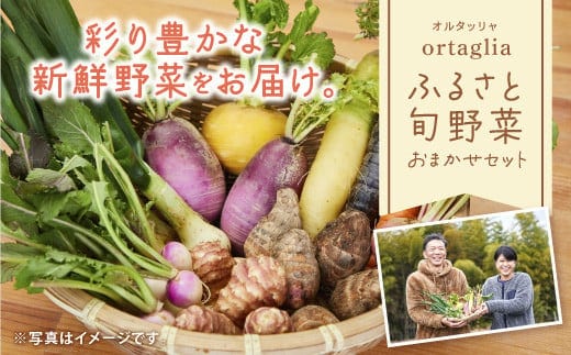 A-229 季節の旬野菜 10品 おまかせセット（農薬・化学肥料不使用）《45日以内に出荷予定(土日祝除く)》【配送不可地域あり】---A-229---
