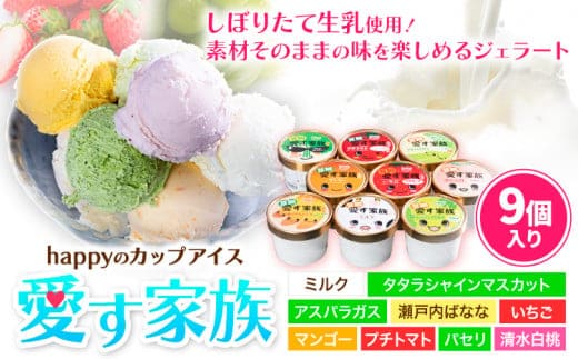 愛す家族 カップアイス 9個入り 【45日以内に出荷予定（土日祝除く）】笠岡ジェラート 工房ハッピーのカップアイス ハッピー＆甲和株式会社 ジェラート アイス ミルク たたらシャインマスカット 清水白桃 いちご アスパラガス プチトマト 瀬戸内バナナ マンゴー パセリ 岡山県 笠岡市---A-35---