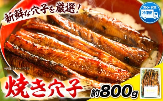 焼き穴子 約800g 笠岡魚市場《45日以内に出荷予定(土日祝除く)》岡山県 笠岡市 穴子 海鮮 魚 お魚---B-04---