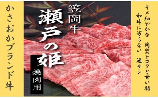 牛肉 B-07 瀬戸の姫（焼肉用）《45日以内に出荷予定(土日祝除く)》---B-07---